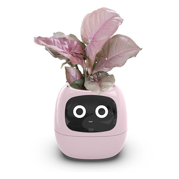  Intelligent Automatic Water Absorption Flowerpot