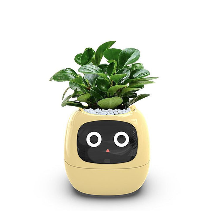  Intelligent Automatic Water Absorption Flowerpot