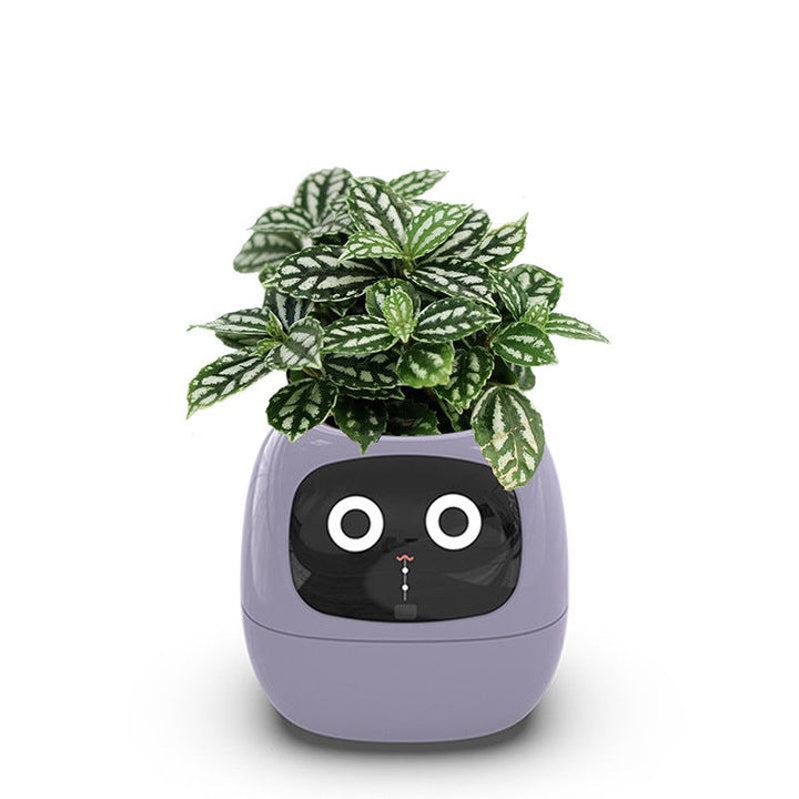  Intelligent Automatic Water Absorption Flowerpot