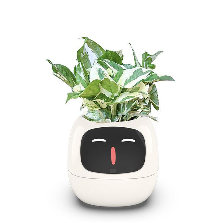  Intelligent Automatic Water Absorption Flowerpot