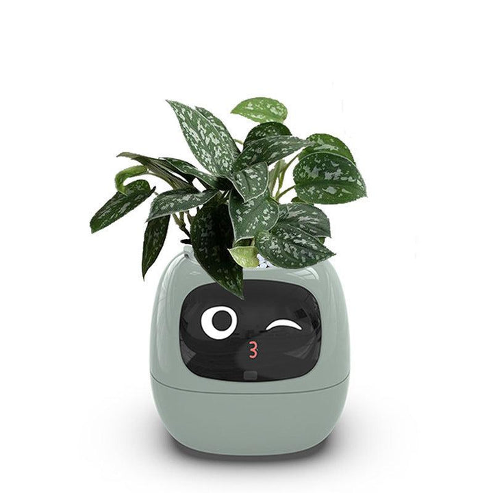  Intelligent Automatic Water Absorption Flowerpot