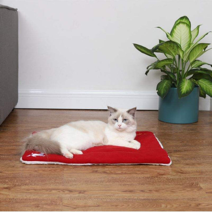 Christmas Pet Mat 